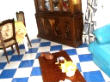 appartement meubl 2